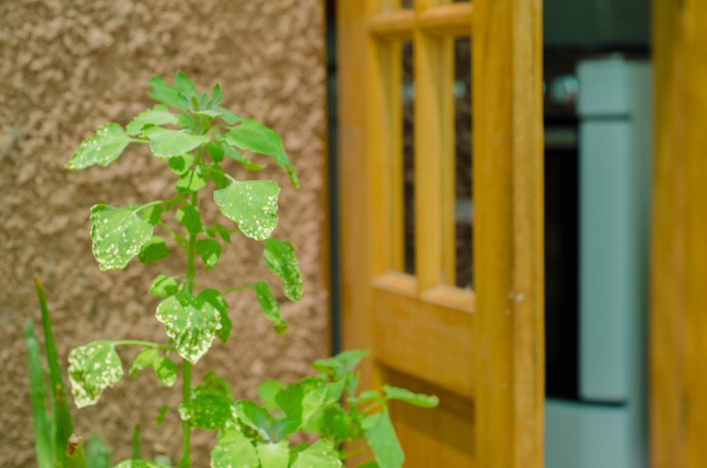 Hostal Alabalti San Pedro de Atacama Exterior photo